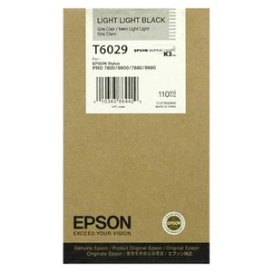 EPSON cartridge T602900 - licht licht zwart