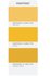 PANTONE Fashion and Home Color Guide_9