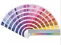 PANTONE GoeGuide uncoated_9