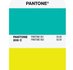 PANTONE Pastels & Neons Guide Coated & Uncoated_9